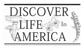 Discover Life in America